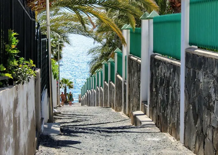 Bougainvillea Bamira Maspalomas (Gran Canaria)